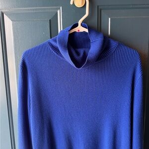 Calvin Klein Cobalt Blue Ribbed Turtle Neck